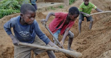 فى اليوم العالمى لمكافحة عمل الأطفال.. الأمم المتحدة: أفريقيا الأعلى بالظاهرة