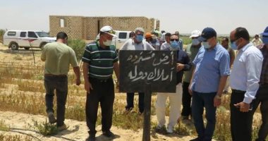 استرداد 50 فدان من أراضى الدولة بوادى النطرون في محافظة البحيرة