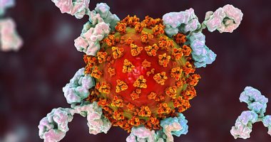إطلاق أول تجربة لــ"كوكتيل من الأجسام المضادة" كدواء ولقاح معا لفيروس كورونا