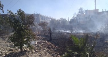 حريق محدود بمنطقة مخلفات زراعية مفتوحة بجامعة المنيا.. صور 