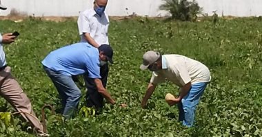 وزير الزراعة يتلقى تقريرا حول تقييم أصناف البطيخ والكنتالوب المستنبطة