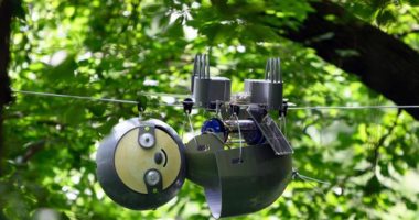روبوت جديد يعلق على الأشجار لحماية الأنواع الأكثر عرضة لخطر الانقراض