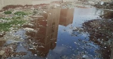 القابضة لمياه الشرب: شبكة الصرف الصحى بشارع بلال بطنطا سليمة