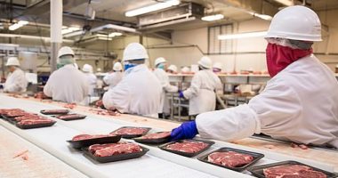 بعد تفشى كورونا بمصانع اللحوم الأمريكية.. توقعات بتزايد الإصابات فى الشتاء