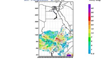 مركز التنبؤ بالفيضان ينشر خرائط سقوط الأمطار على منابع النيل حتى الخميس