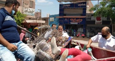 حملة مكبرة لإزالة الإشغالات والأسواق العشوائية بشوارع المحلة