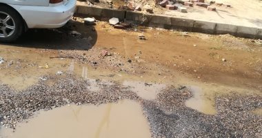 قارئ يشكو انتشار مياه الصرف الصحى بشارع صالح سليم بالجزيرة