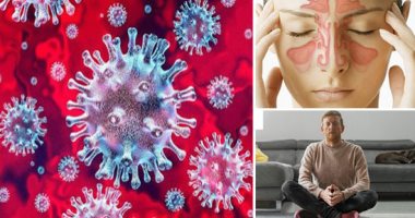  دراسة توضح كيف تعمل الفيروسات وهروبها من جهاز المناعة