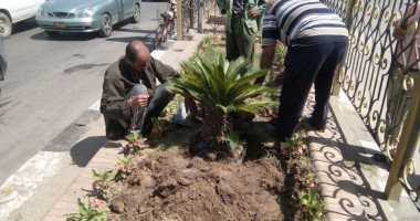 صور.. حى ثان طنطا ينظم حملة لزراعة وتقليم الأشجار بشوارع المدينة