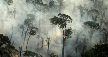 كولومبيا تعلن عن استثمار 100 مليار بيزو لوقف إزالة الغابات فى الأمازون