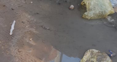 سكان منطقة مؤسسة الزكاة يشكون انتشار مياه الصرف الصحى بشارع عبد الوهاب