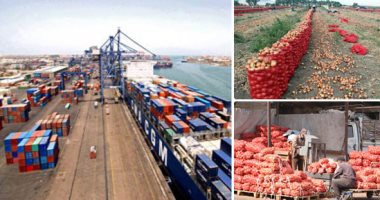 ارتفاع صادرات مصر من الأغذية 14% لتبلغ 2.3 مليار دولار خلال 7 أشهر