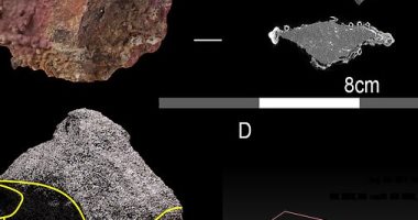 صور ..  العثور على أدوات حجرية تعود إلى 8.500 سنة فى استراليا 