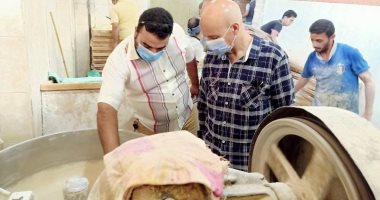 فيديو وصور.. وكيل صحة الشرقية: غلق 10 مخابز بلدية لوجود ديدان وسوس في أدوات العمل