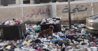شكوى من تراكم القمامة بجوار مدرسة الزاوية الحمراء بالقاهرة
