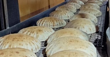 ضبط 29 قضية تموينية لمخابز تنتج خبز ناقص الوزن وغير مطابق بالدقهلية