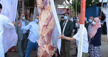 محافظ الدقهلية: تنفيذ مبادرة تخفيض أسعار اللحوم بمنافذ البيع بـ60 جنيها