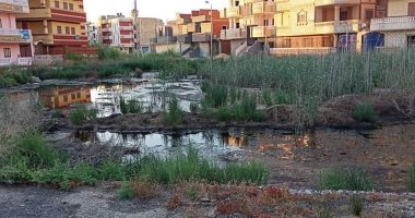 سكان مدينة 15 مايو بجمصة يشكون انتشار مياه مجهولة المصدر بالمنطقة