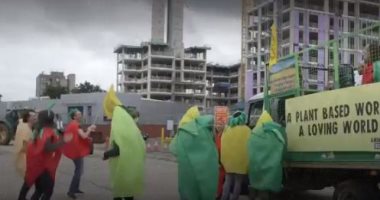مزارعون بريطانيون يحتجون بأزياء الخضار والفاكهة لرفض سياسة الحكومة.. فيديو