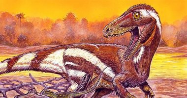 اكتشاف حفرية لديناصور بثلاثة أصابع عاش قبل 115 مليون سنة 