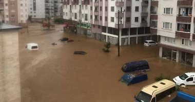 الفيضانات فى كوريا الجنوبية تودى بحياة شخص وتغرق مئات المنازل والسيارات