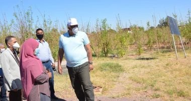 محافظ الوادي الجديد يتفقد مشروع زراعة أشجار المورينجا ويوجه بتعظيم الاستفادة منه 