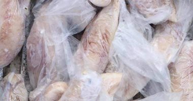 ضبط سمكة الأرنب السامة ولحوم منتهية الصلاحية فى حملة موسعة برأس البر 