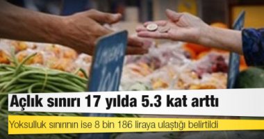 تقرير: حد الجوع فى تركيا يتضاعف 5.3 مرات خلال 17 عاما