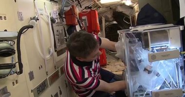 صورة رائد فضاء روسى يطور غضروفًا هندسيا على متن محطة الفضاء (صور)