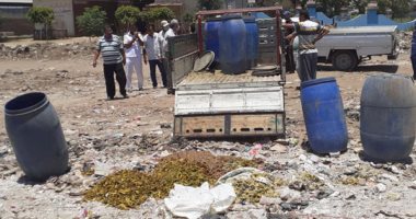 إعدام 700 كيلو مخللات منتهية الصلاحية قبل بيعها للجمهور بمدينة طهطا