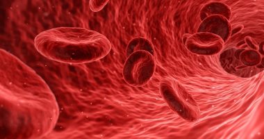 دراسة على مليون شخص تكشف: السيطرة على مستويات الحديد فى الدم تمنع الشيخوخة