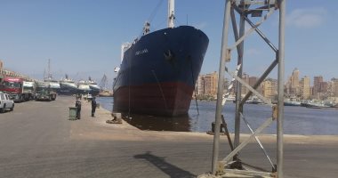 ميناء الإسكندرية يواصل أعمال تطهير وتعقيم السفن والأرصفة لمواجهة كورونا (صور)