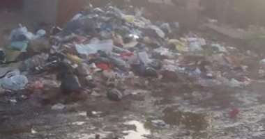شكوى من انتشار القمامة والأوبئة بمنيل شيحة مركز أبو النمرس فى محافظة الجيزة