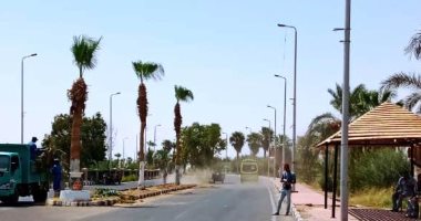 مدينة أبو سمبل السياحية تستعد للموسم السياحى بتشجير الشوارع 