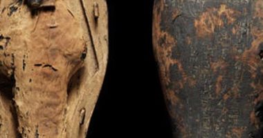 دراسة: اكتشاف قرابين لـ حورس داخل مومياوات مصرية عمرها 300 سنة