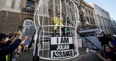 مصممة أزياء مشهورة تتظاهر فى قفص كنارى أمام محكمة بلندن لإطلاق سراح جوليان أسانج