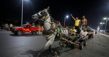 سباقات خيول الكارو تعود لشوارع القاهرة بعد انتهاء الحظر.. شاهد رالى الغلابة