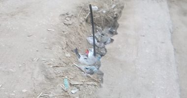 أهالى بحطيط فى أبو حماد بالشرقية يطالبون برصف الطريق