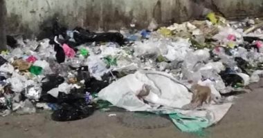 اضبط مخالفة.. انتشار القمامة بمدينة طنطا وسط غياب الأجهزة التنفيذية (صور) 
