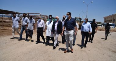 محافظ بورسعيد: محطة تسمين الماشية تؤمن احتياجات المواطنين من اللحوم الحمراء