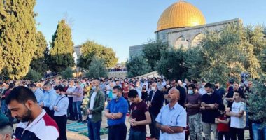 مفتى فلسطين: على كل المسلمين تحرير المسجد الأقصى لإعادته لمريدي شد الرحال