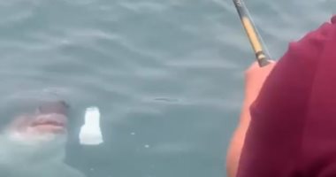 سمكة قرش تهاجم سنارة شاب أمريكى لتنافسه على صيده.. فيديو وصور