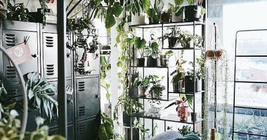 مصمم أزياء أسترالى يحول منزله إلى غابة خضراء تضم نباتات نادرة.. صور