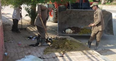 صور.. رفع مخلفات وقمامة فى شوارع شمال مدينة الأقصر فى رابع أيام العيد