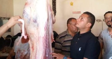 "تموين الشرقية": حملات يومية على محلات الجزارة للتأكد من سلامة اللحوم