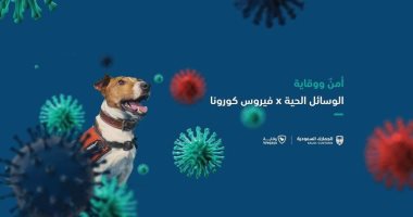 السعودية تستخدم كلاب مدربة للكشف عن مصابى كورونا فى المنافذ الجمركية