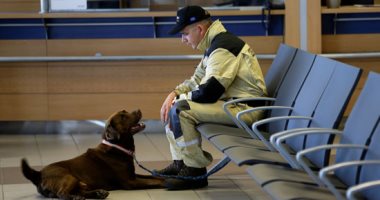 فريق إنقاذ فى مهمة رسمية.. كلاب من التشيك للبحث عن ضحايا انفجار بيروت