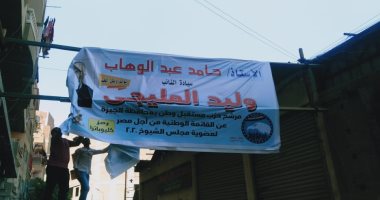محافظة الجيزة تزيل دعاية انتخابية غير مرخصة.. صور