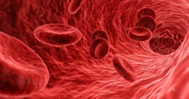 فيروس كورونا قد يستهدف النخاع ويمنع تكوين كريات الدم الحمراء الجديدة