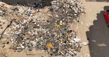 تراكم القمامة وانتشار الحشرات بمنطقة حسن محمد فى شارع فيصل 